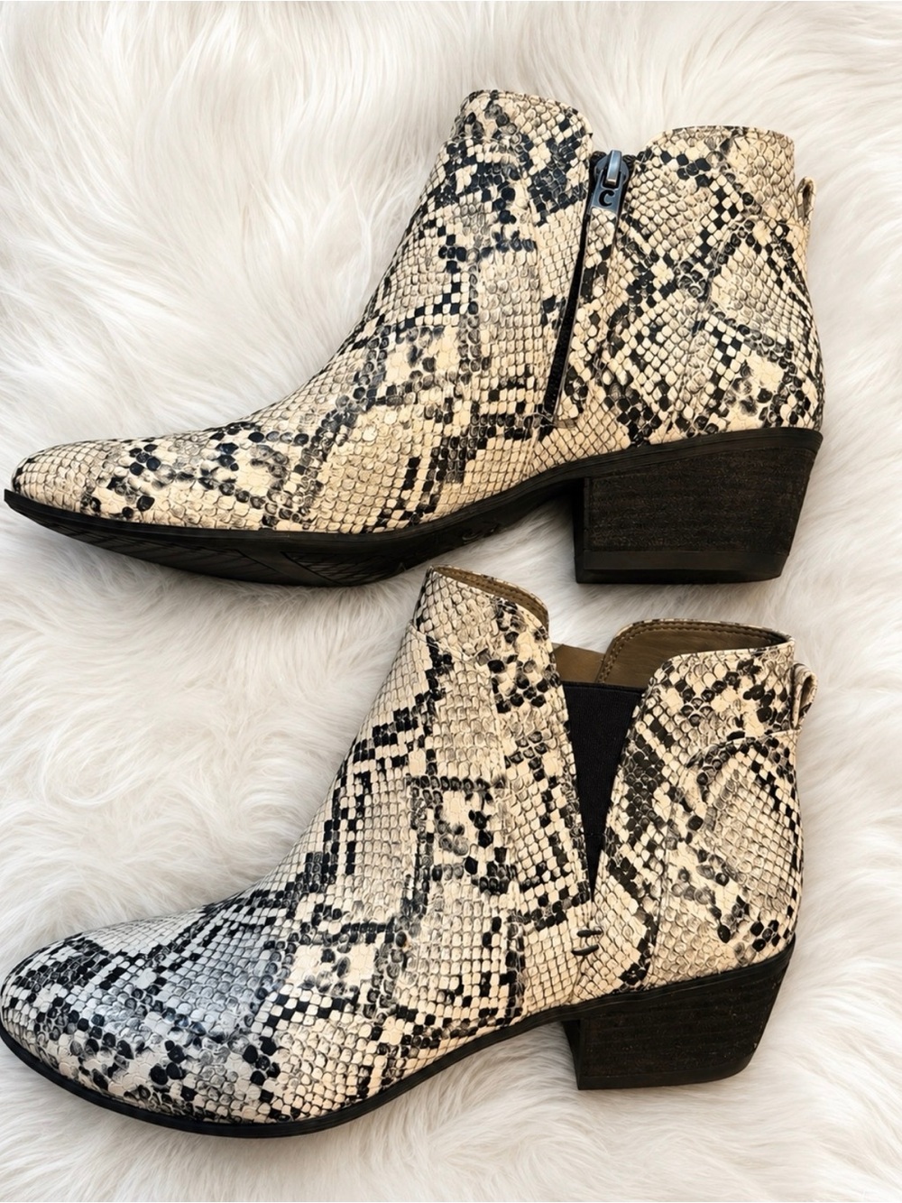 Circus by Sam Edelman Snake-Print Chelsea Booties in White and Black